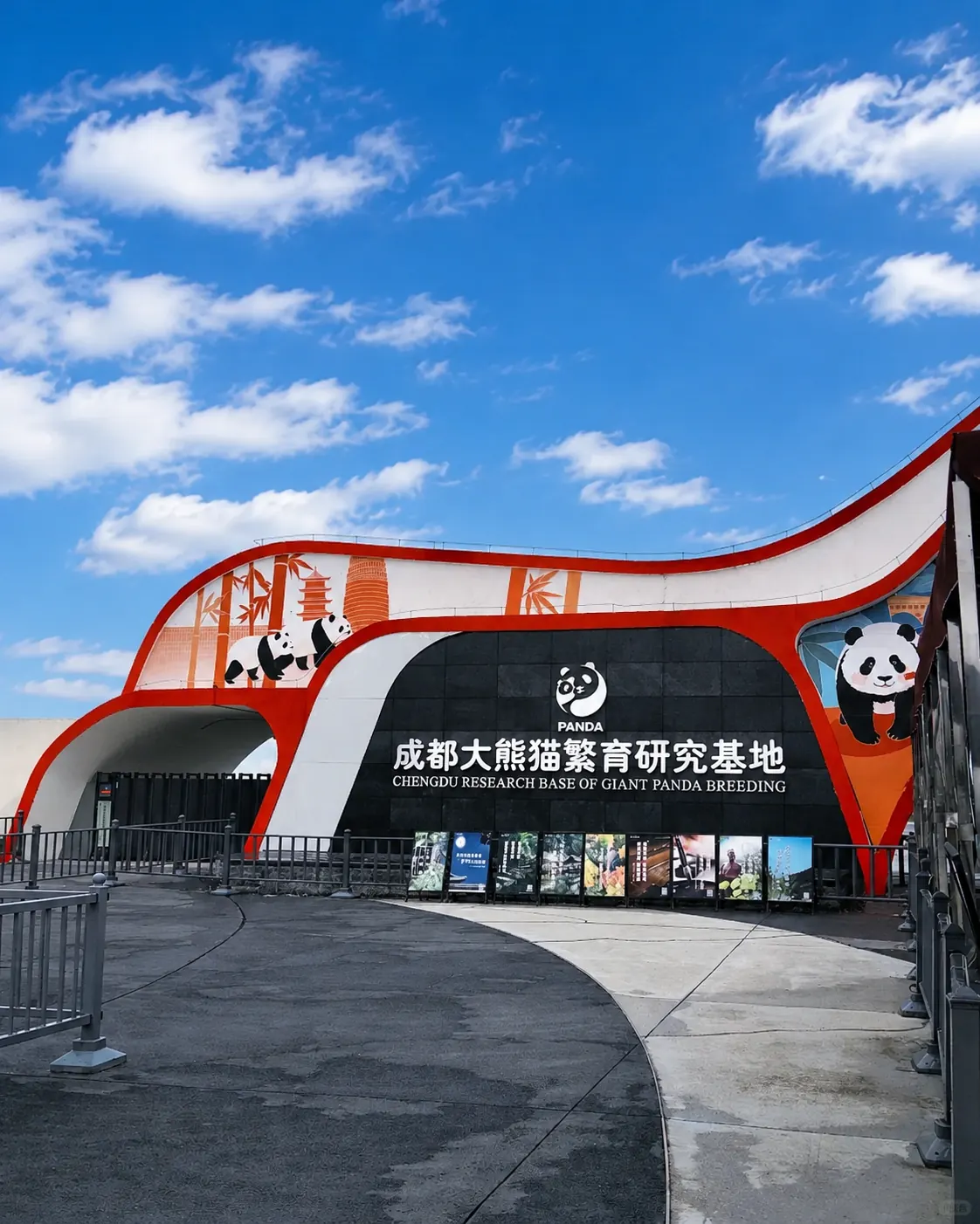 Giant panda at the Chengdu Research Base of Giant Panda Breeding
