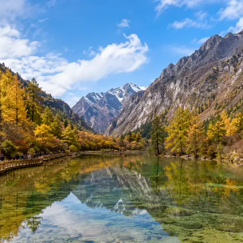 Bipenggou glacier and forest scenery